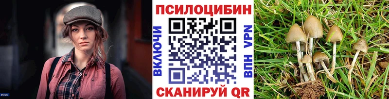 Галлюциногенные грибы мухоморы  Купить закладки  Советск 